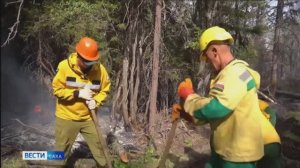 ГТРК САХА_В Якутии за сутки локализовано 4 лесных пожара