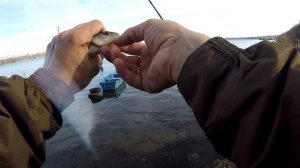 Рыбалка. Окунь на микро джиг на Новотроицком ВДХ. Вот это порыбачил!