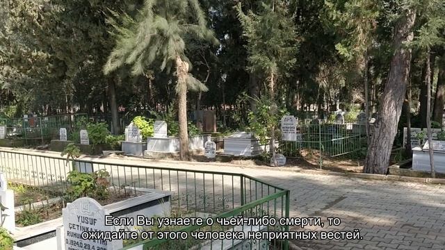 К чему снится умерший? Толкование сна и его значение по сонникам Фрейда и Ванги смотреть онлайн