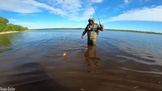 Мы в ШОКЕ от ТАКОЙ РЫБАЛКИ! Море ИКРЫ и ТУХЛОЙ РЫБЫ в Сетях! Лето, Спиннинг, Язь, Щука, Лещ. смотреть онлайн