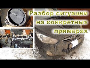 Корейская ДРИСТНЯ КАТАЛИЗАТОРОМ - ВСЕ факты на 2019 год!!