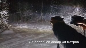 Комплект светодиодных противотуманных фар с СТГ для Лада Веста, Форд Фокус, Рено Логан и т.д.