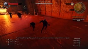 The Witcher 3 - When It's Many Against One Trophy / Коли врагов пропасть...