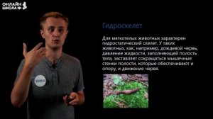 Опора и движение организмов. Видеоурок 13. Биология 9 класс