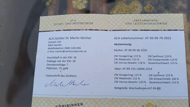 Матки Карника и Бакфаст на 2024 год смотреть онлайн