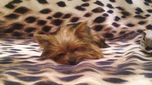 Моника/хотите видео со мной ???)) смотреть онлайн