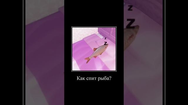 Как спит рыба #shorts