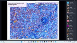 Гистология. Эндокринная система. Глинкина