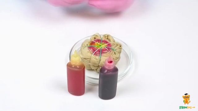 Розпис тканини органічними барвниками в техніці Tie-dye. Цікаві досліди з хімії та фізики смотреть онлайн