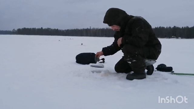 НИ РЫБЫ НИ МЯСА!!! 4 дня в тайге! смотреть онлайн