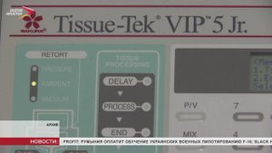Отделение СФР назначило специальную социальную выплату более 5 000 медработников в 2024 году