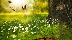 Музыка для настроения | Душевная музыка с утра | Мелодии, чтобы проснуться