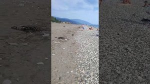 Абхазия. Гечрипш. Вместо пляжа мусорная свалка ?.