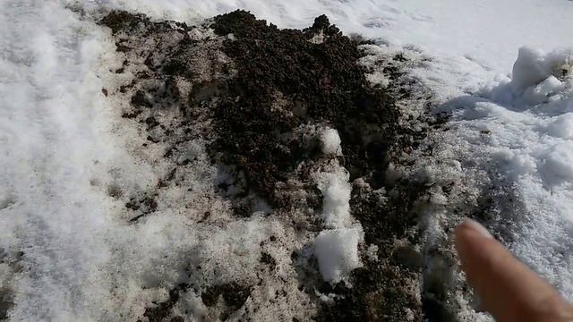 САЖАЕМ РЕДИС И КАПУСТУ В ТЕПЛИЦУ. смотреть онлайн