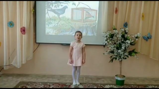 Басня И.А.Крылова "Чиж и голубь" смотреть онлайн