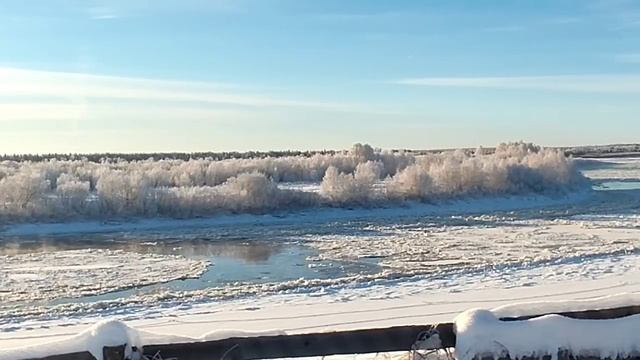 Жуковы// Вкусная, полезная домашняя еда - это не про них// Обзор видео// смотреть онлайн
