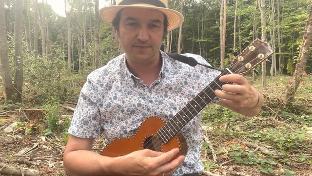 Just The Good ‘Ol Boys. Theme from The Dukes Of Hazzard by Waylon Jennings. Ukulele (Tutorial) смотреть онлайн