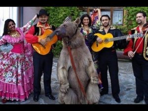 СЕРБИЯ.ЦЫГАНЕ-ТРУБАЧИ...А КАКОЙ ПРАЗДНИК БЕЗ НИХ???