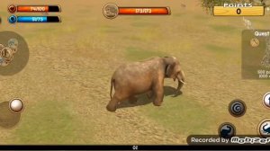 Симулятор-Слона 1# Тоаоа-) - Играем! Сейчас!!!!!!!!!!!!! Будим играть вместе!