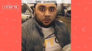 НОВЫЕ ВАЙНЫ И ЛУЧШЕЕ СЕКА 2017 (3.0) | BEST VINES