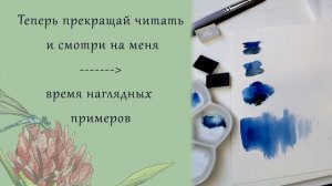 2. Базовые знания об акварели