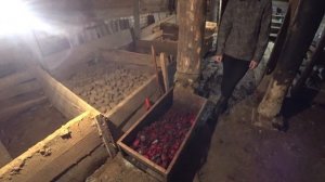 Купили ДОМ в Деревне. ГЛАВНОЕ при выборе Дома!