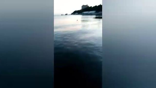 Рыбалка в Ялте ?