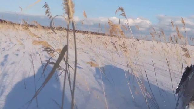 Мотособака смотреть онлайн