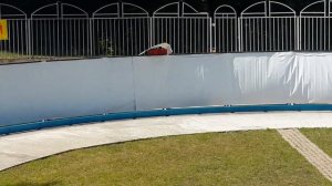 кордовые автомодели