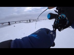 ГЛУБИНА 1 МЕТР! ПЕРВЫЙ ЛËД!!! ЯРЫЕ ПОКЛËВКИ ЭТИХ РЫБ АЖ СЕРДЦЕ ЗАМИРАЕТ!