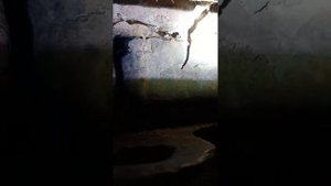 Ремонт банной печи. Часть 1.