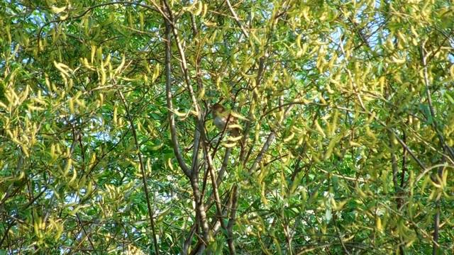 Всё про охоту у Михалыча 59 смотреть онлайн