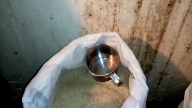 Каким кормом кормить перепелов. Отвечаем на вопросы зрителей.
