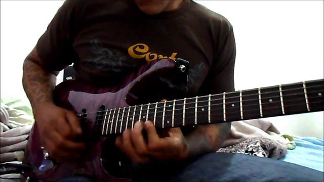 Whitesnake Crying In The Rain Guitar Solo By Edu Luz смотреть онлайн