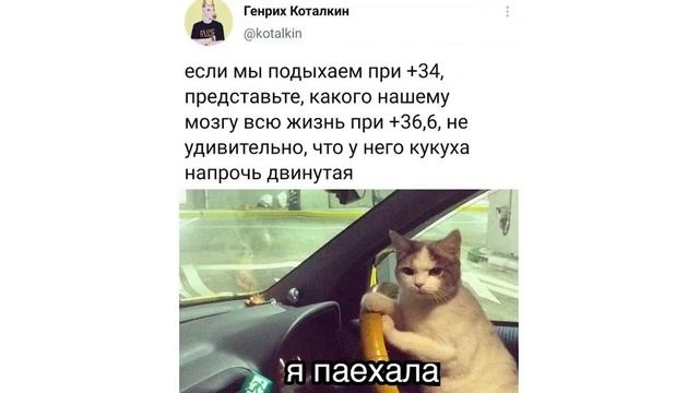 ЧАЙНИК НА ПЛИТЕ))) ААААААА!!! Приколы | Мемозг 715 смотреть онлайн