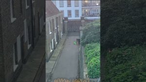 КАНАДА. 3-Е АПРЕЛЯ 2023-ГО ГОДА. КРУЧЕ ЭТОГО ПОБЕГА Я ЕЩЕ НЕ ВИДЕЛ. СЮЖЕТ КАНАЛА ''БЛОГЕР БН''._