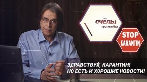 «Пчёлы против мёда». Здравствуй, карантин! Но есть и хорошие новости!