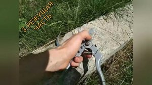 Какой выбрать секатор НЕДОРОГОЙ для обрезки деревьев! ТЕСТ НА ПРОЧНОСТЬ!