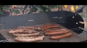 Антипригарная сетка-решетка для гриля и духовки DANIR