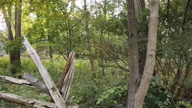 Lynde Shores Conservation Area l Whitby, Ontario Canada l The Pagkaliwagan Family ❤️ смотреть онлайн