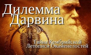 Дилемма Дарвина