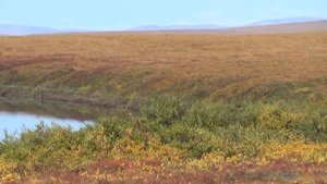 Одна через Чукотку. Часть 15. Страшная Мечигменская тундра. Alone through Chukotka. Part 15.