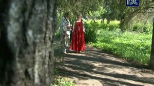 Вологодский предприниматель вместе с волонтерами восстанавливает усадьбу Спасское-Куркино