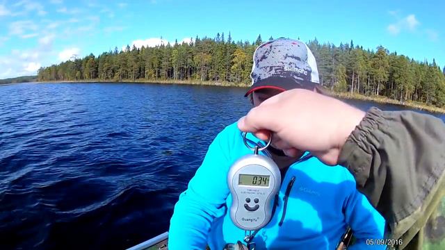 Сумеричи,погоня за большим окунем! смотреть онлайн