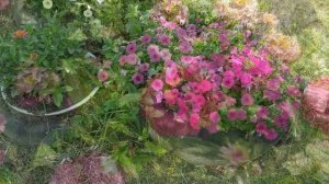 ЦВЕТНИК ОКОЛО ДОМА В ДЕРЕВНЕ.