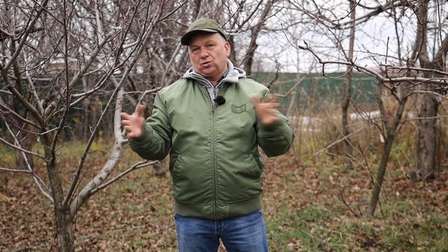 Дачные работы с 17 ноября по 1 декабря. ВАЖНЫЕ работы перед зимой смотреть онлайн