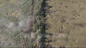 Операторы квадрокоптера со сбросами и минометный расчёт ЗВО добивают брошенную БМП-1 ВСУ на Купянске