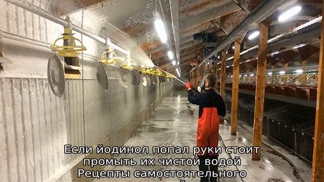 Йодинол для кур смотреть онлайн