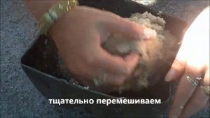 Абхазия рыбалка и кефаль на черном море в Алахадзы