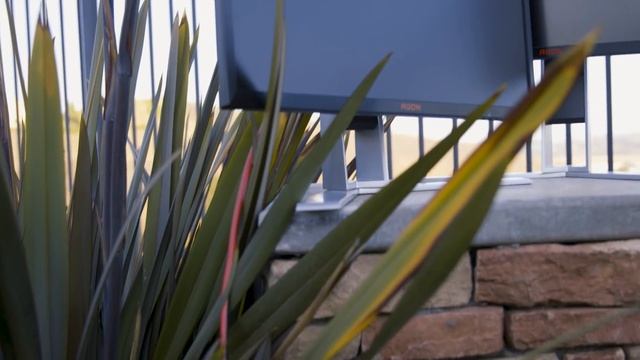 AOC gaming monitor in the wild | DOTA Summit 9 смотреть онлайн